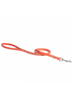 Laisse pour chien éclat orange de Bobby.