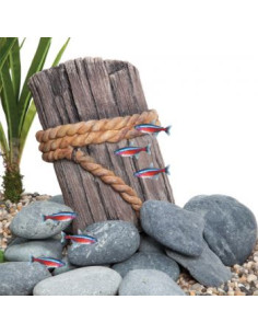 Décor pour aquarium à poissons, poteau de quai de Fluval.