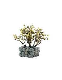 Décor Fluval "Shui" Fleurs et Galets