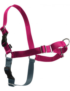 Harnais pour chien Easy Walk framboise de Premier / Petsafe.