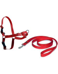 Harnais pour chien "Easy Walk" rouge de Petsafe.