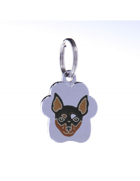 Une jolie médaille Cloud pour chien "Pinscher" de Petitamis.