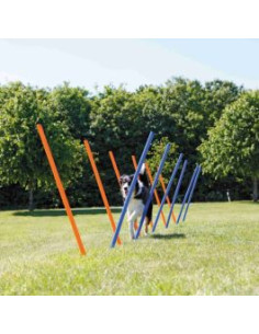 Jouet chien - extérieur - Slalom agility bleu et orange - Trixie