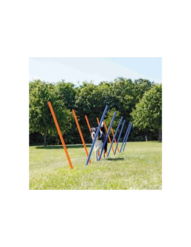 Jouet chien - extérieur - Slalom agility bleu et orange - Trixie