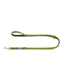 Une laisse pour chien couleur citron vert parfait pour les balades de nuit.