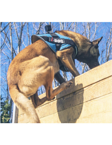 harnais neo cam avec fixateur de caméra