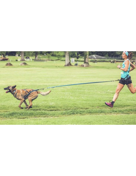 polar quest harnais canicross inlandsis