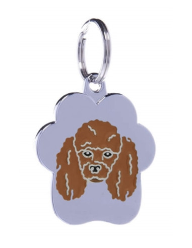 médaille rainbow "caniche abricot" de petitamis