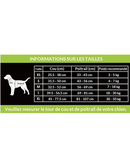 Harnais chien orange - True Love