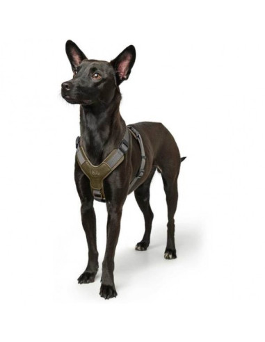 Harnais pour chien "Aalborg Mixed" olive de Hunter.