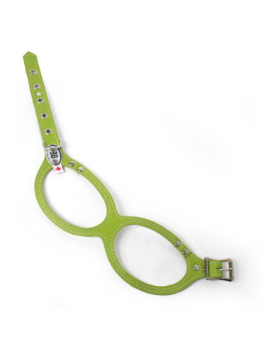 Harnais pour chien "Special" pomme verte de Buddy Belts.