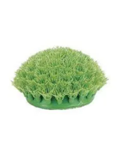 Plantes Vibrascaper Riccia fluitans 5 cm - Hagen