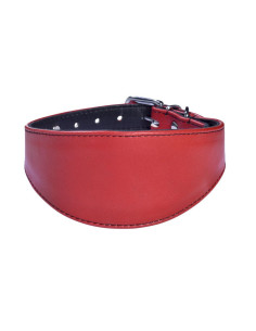 Collier pour chien lévrier "Nicky" de Bobby.