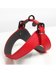 Harnais pour chien "Parachute Dandy" de Milk & Pepper.