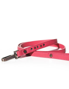 Laisse pour chien "Milky Way Pink" de Milk & Pepper.