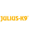 Julius